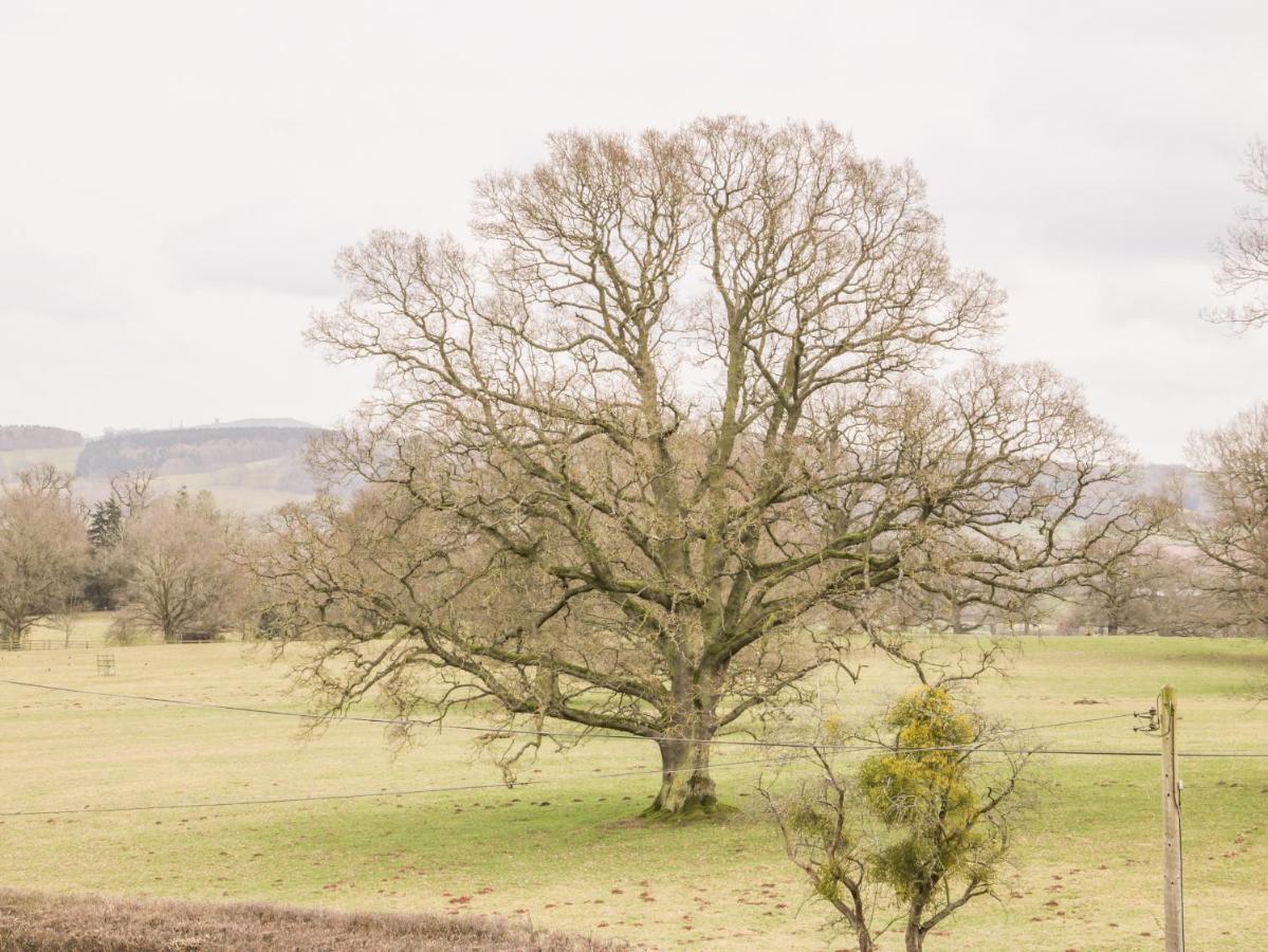 Oakland Cottage Craven Arms Dış mekan fotoğraf